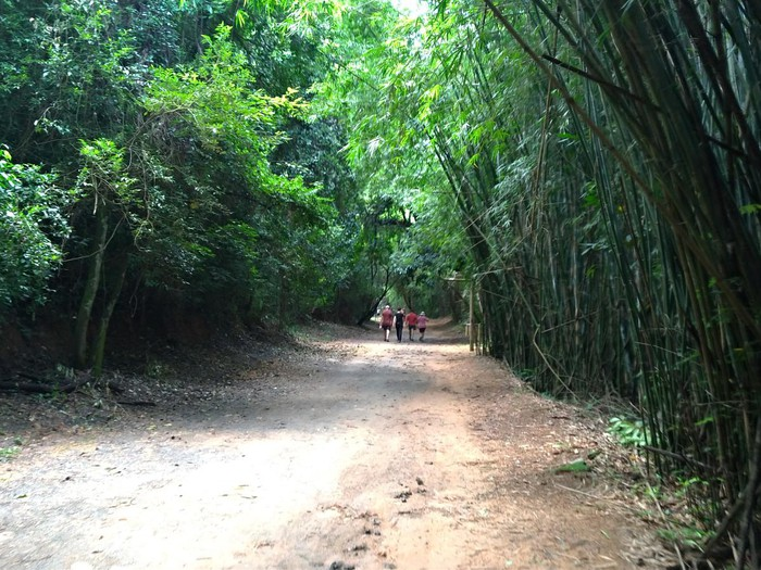 Caminhada