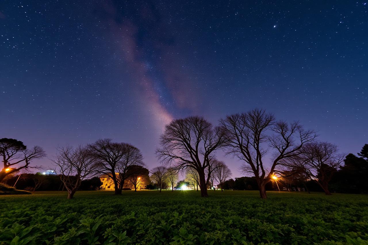 Céu estrelado com Via Láctea sobre o campo no Sítio Sustentável em Joaquim Egídio/Morungaba
